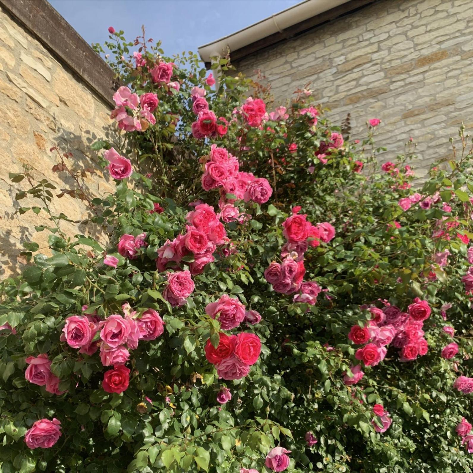 Bed and Breakfast La Cour Des Delices Gigny  Екстер'єр фото