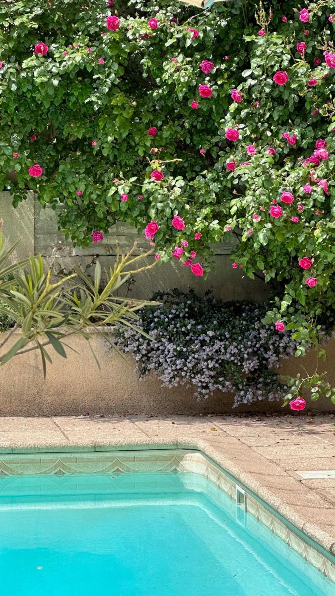 Bed and Breakfast La Cour Des Delices Gigny  Екстер'єр фото