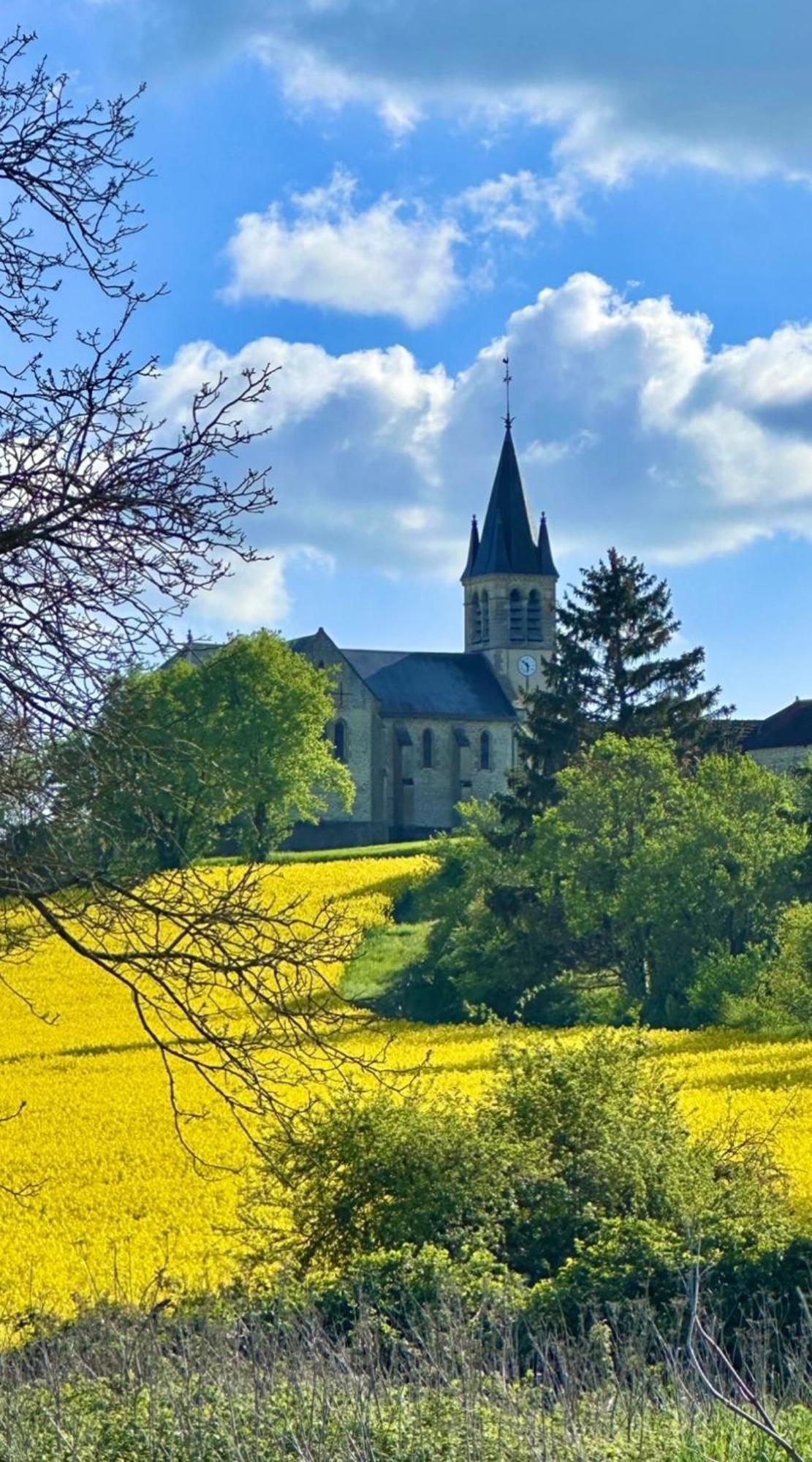 Bed and Breakfast La Cour Des Delices Gigny  Екстер'єр фото